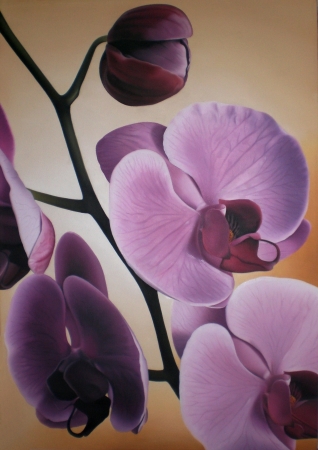 Orchidee